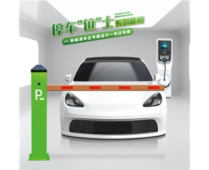 费县RG-CW系列车位小道闸